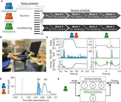 Reducing the Soleus Stretch Reflex With Conditioning: Exploring Game- and Impedance-Based Biofeedback